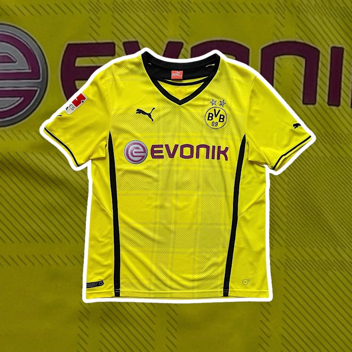 Bireysin Dortmund 2013-14 Home / Reus #11