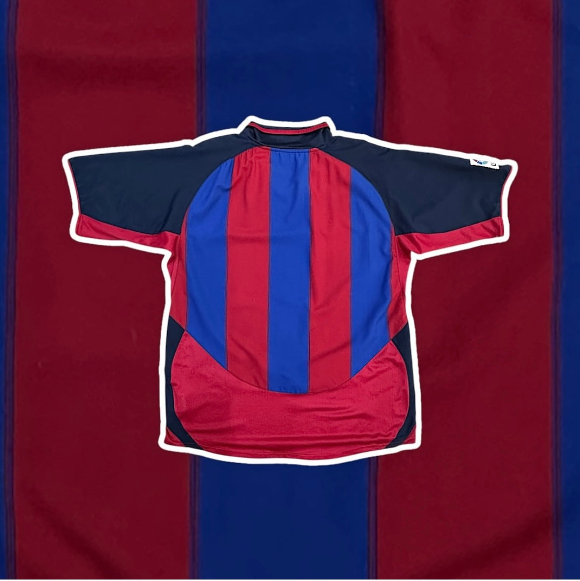 FCB 2003-04 Home