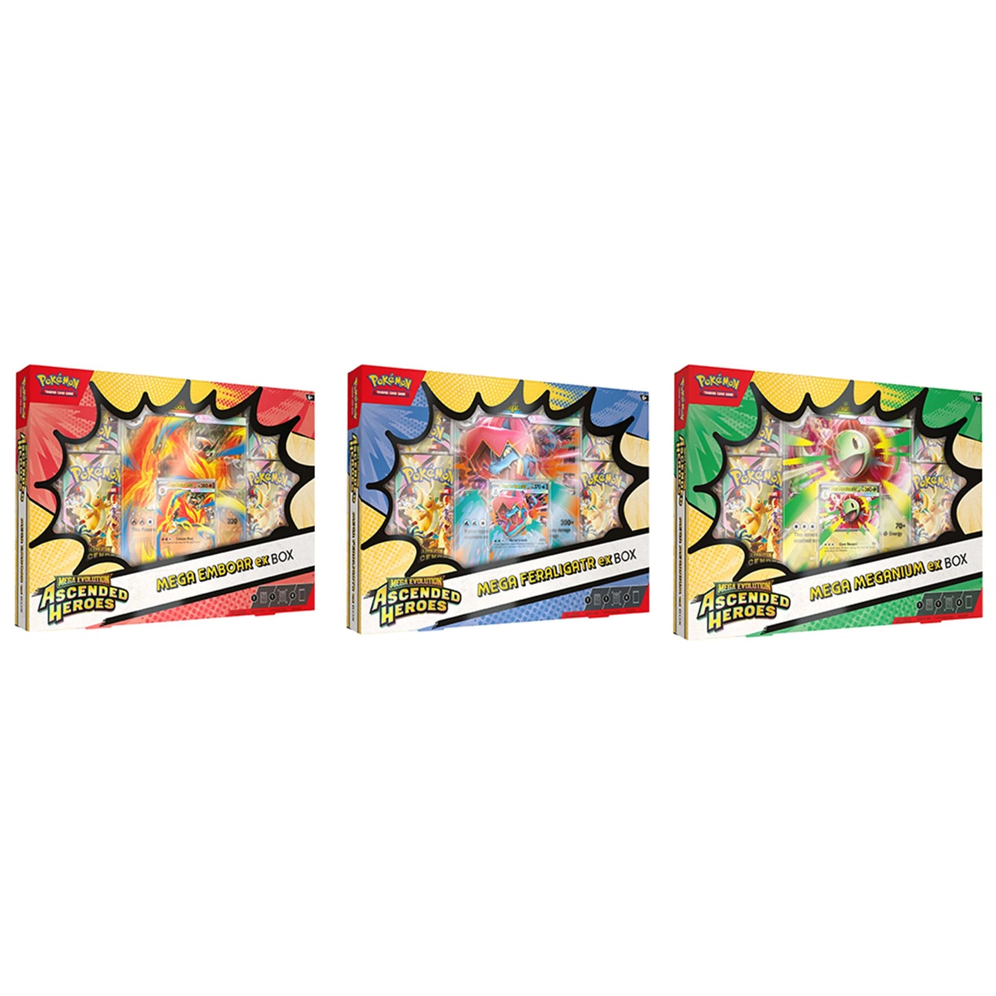 Ascended Heroes ex Box (Random)