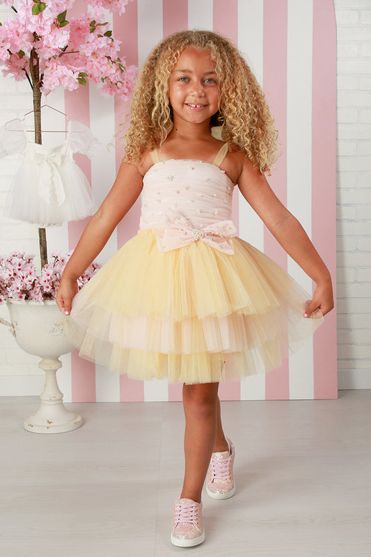 Paldea Evolved - Build & Battle