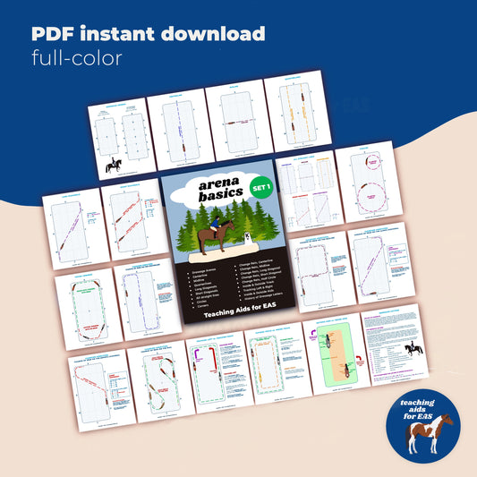 Roronoa Zoro #1775 - Chase